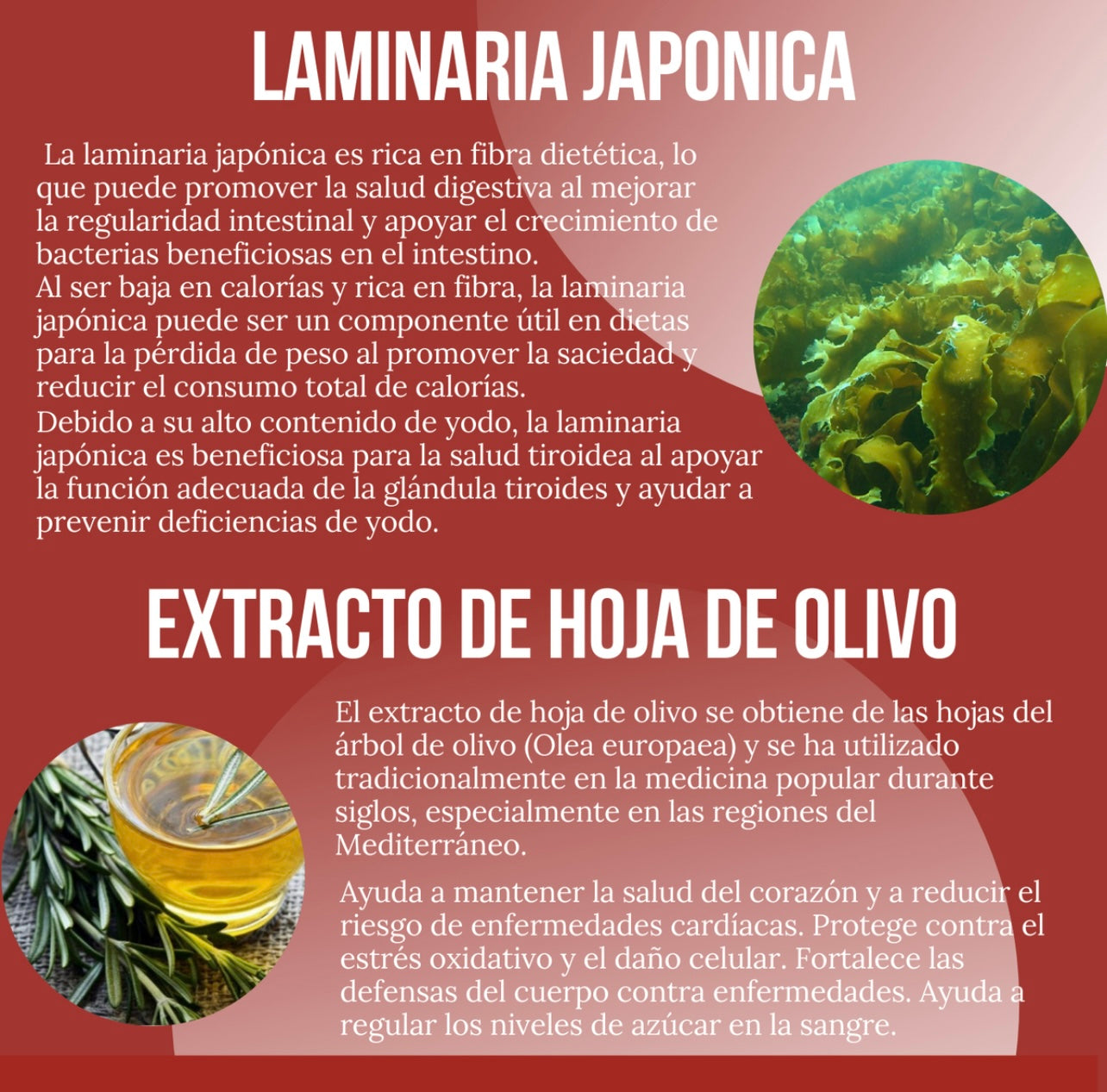 Mesofrance Reductor Abdominal 90 Caps