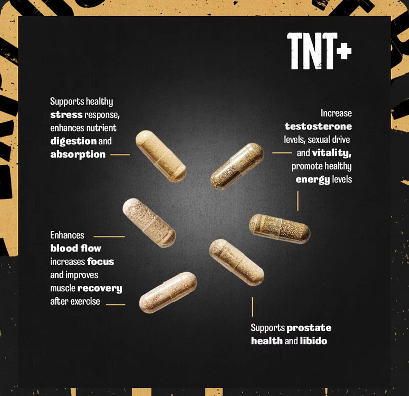 Animal TNT Testosterone Booster