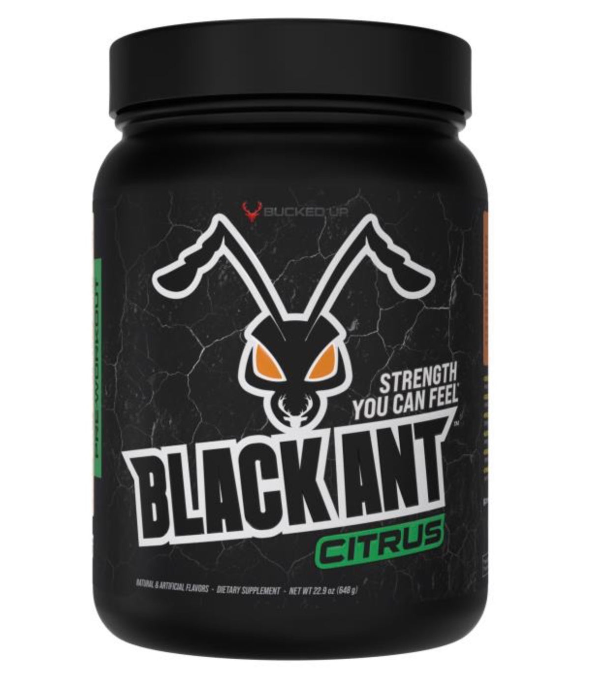 Ex- Black Ant 20 Servicios