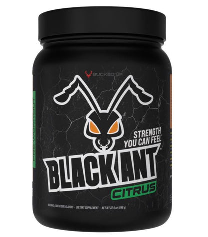 Ex- Black Ant 20 Servicios