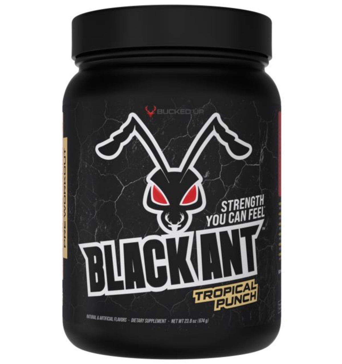 Ex- Black Ant 20 Servicios