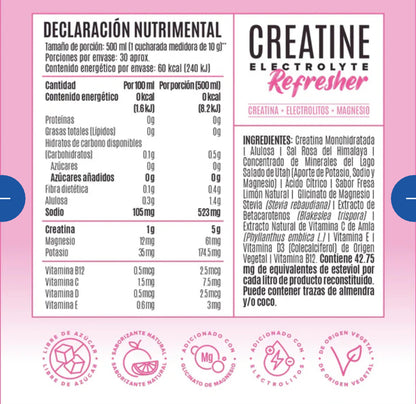 Birdman Creatina Electrolyte Refresher 300 Grs