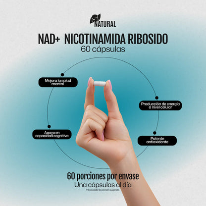 S Natural NAD + Nicotinamida Ribosido 0.5 Gr 60 Caps